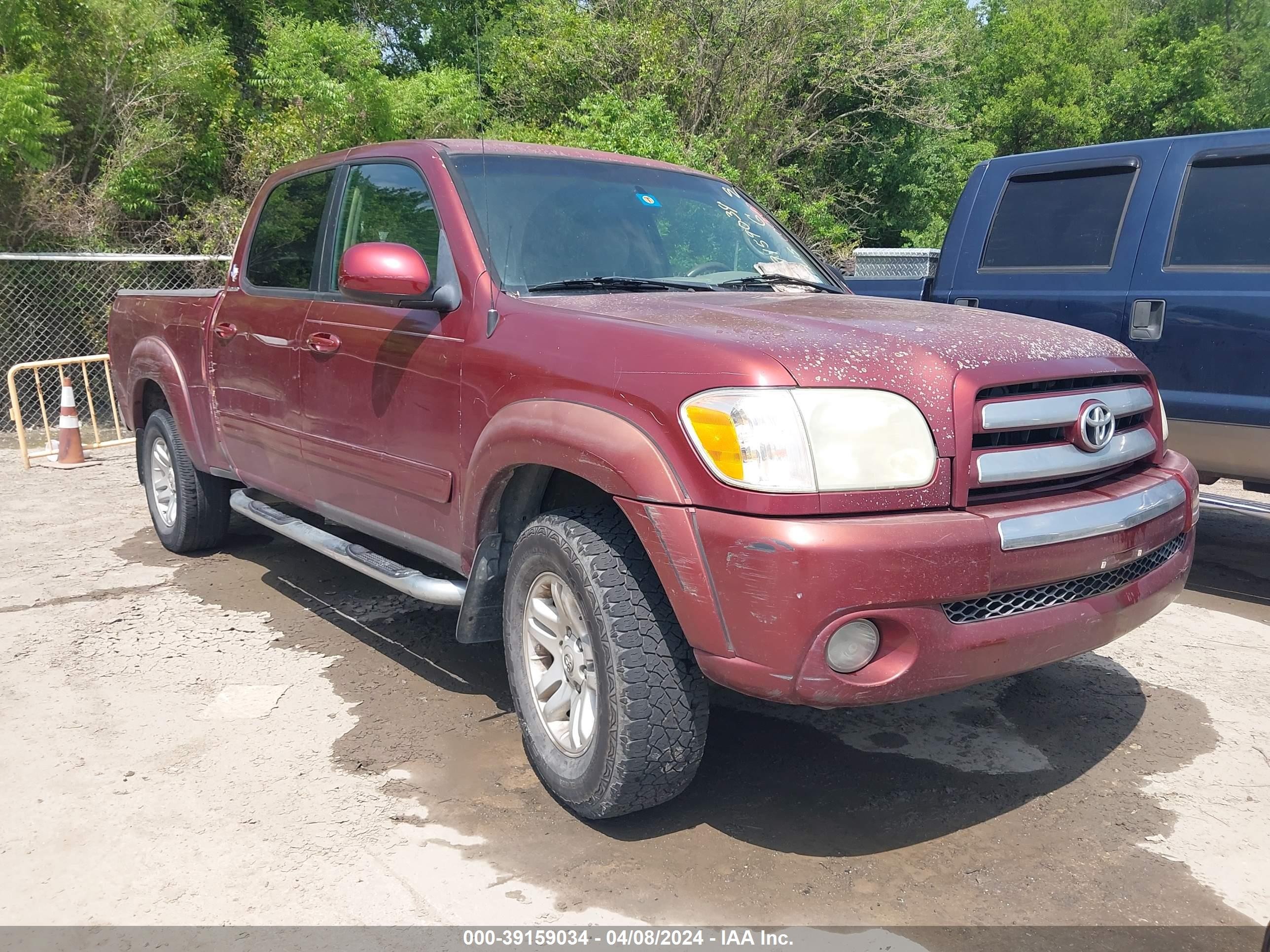 TOYOTA TUNDRA 2006 5tbet34156s541321