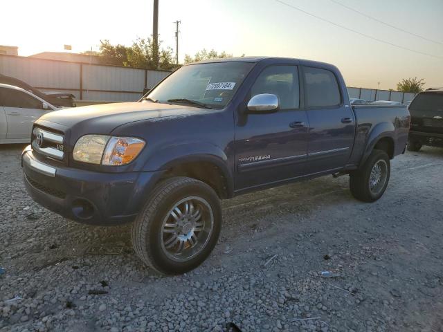 TOYOTA TUNDRA DOU 2006 5tbet34166s521563