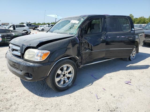 TOYOTA TUNDRA 2006 5tbet34166s534216