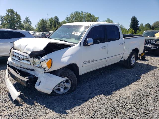 TOYOTA TUNDRA DOU 2006 5tbet34166s536421