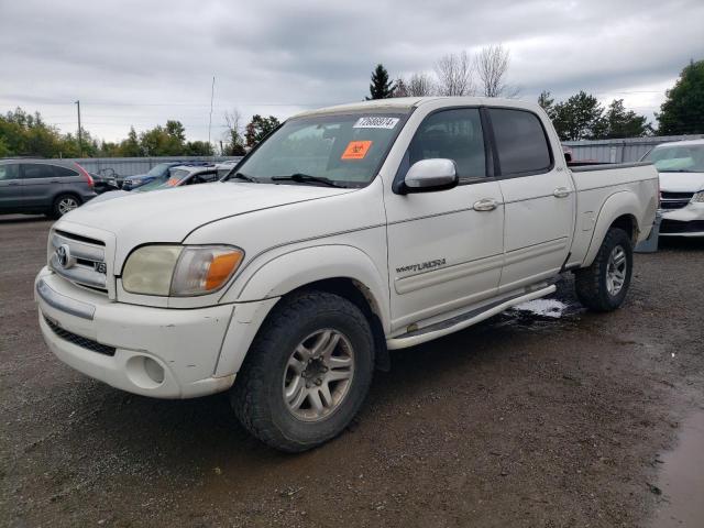 TOYOTA TUNDRA DOU 2006 5tbet34176s514461