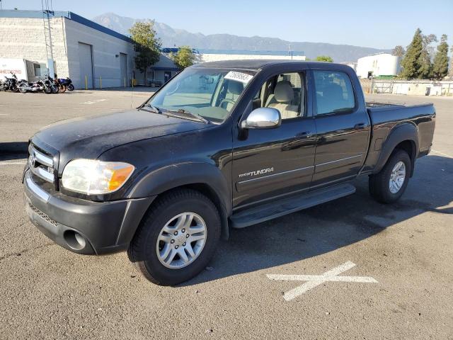 TOYOTA TUNDRA 2006 5tbet34186s507549