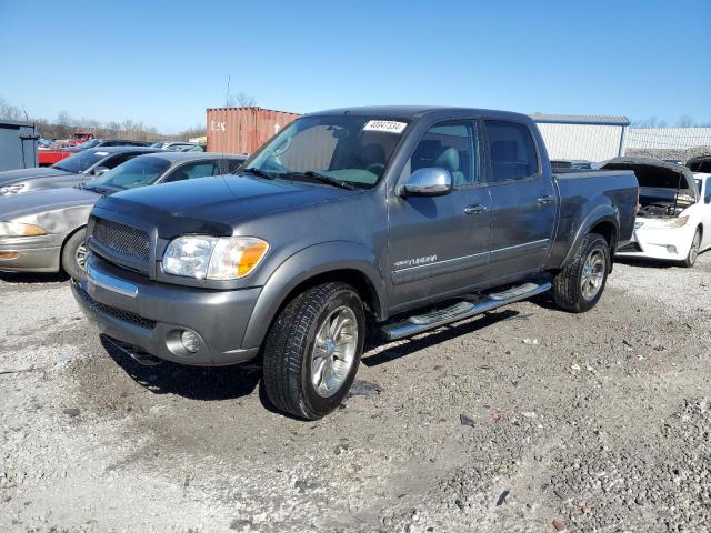 TOYOTA TUNDRA 2006 5tbet34186s522620