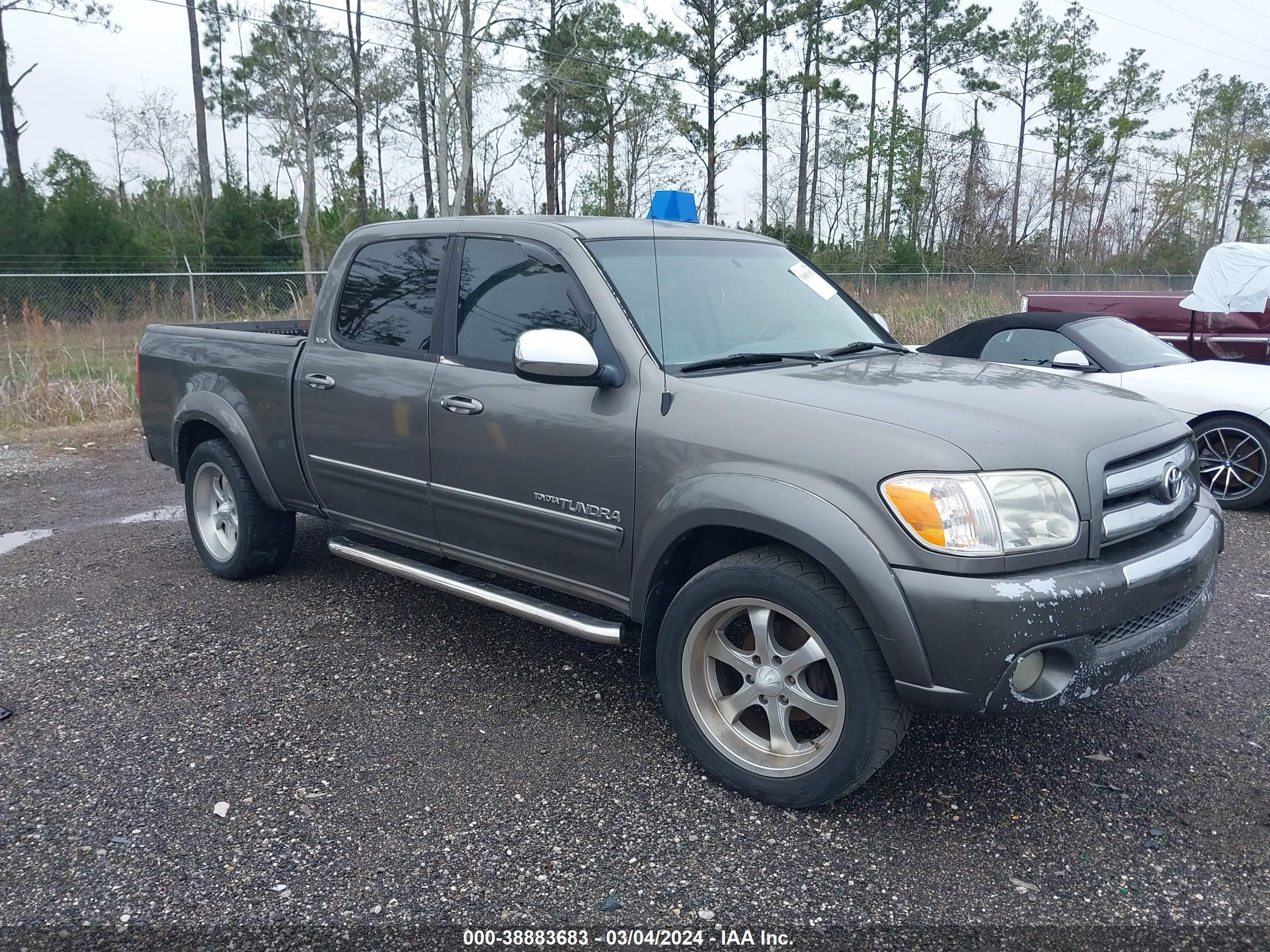 TOYOTA TUNDRA 2006 5tbet34186s553981