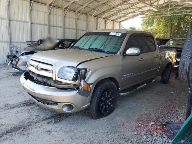 TOYOTA TUNDRA DOU 2006 5tbet34196s539474