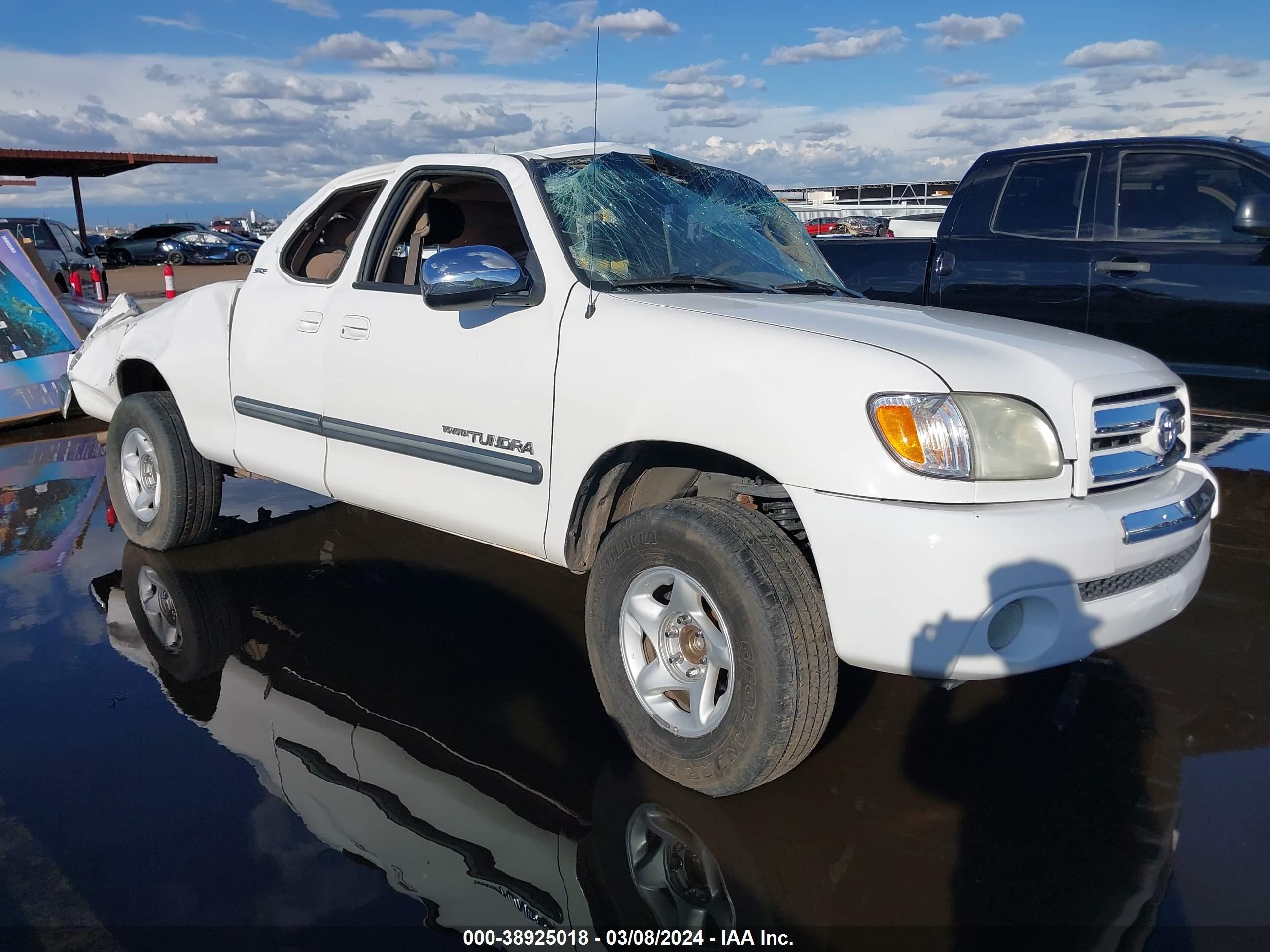 TOYOTA TUNDRA 2003 5tbrt34123s363848