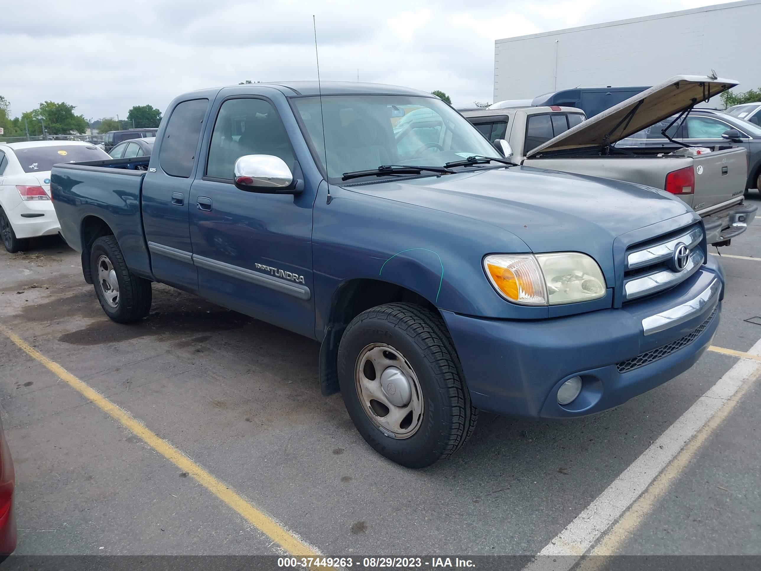 TOYOTA TUNDRA 2006 5tbru34186s484563