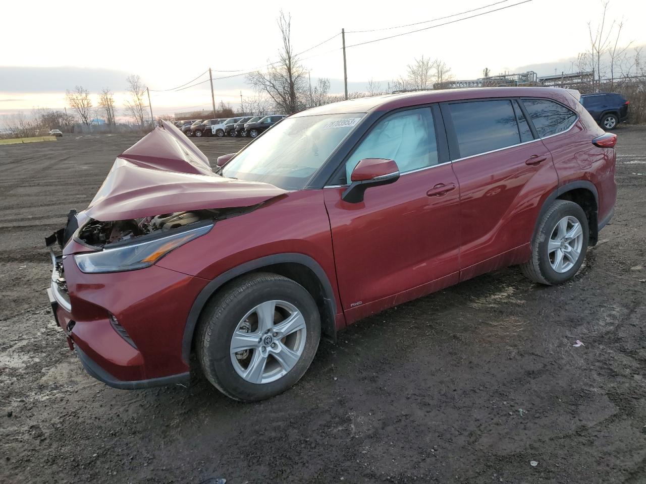 TOYOTA HIGHLANDER 2023 5tdbbrch6ps566759