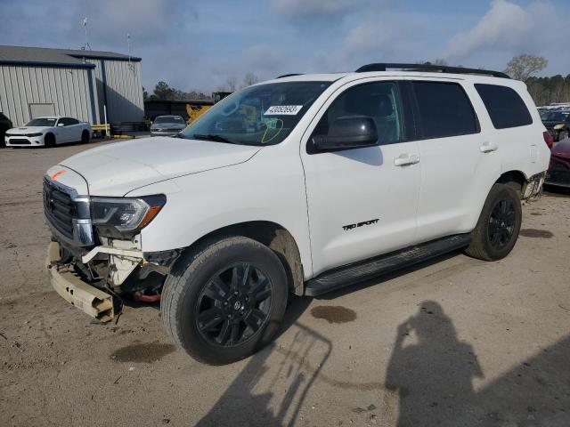 TOYOTA SEQUOIA SR 2019 5tdby5g13ks166316