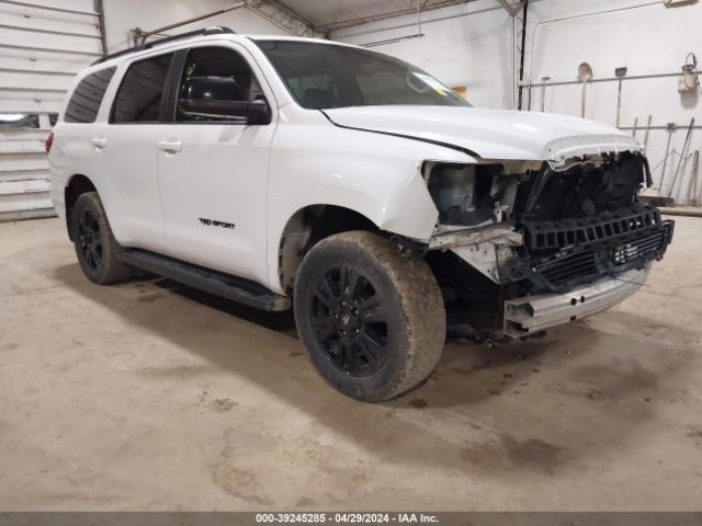 TOYOTA SEQUOIA 2019 5tdby5g14ks174182