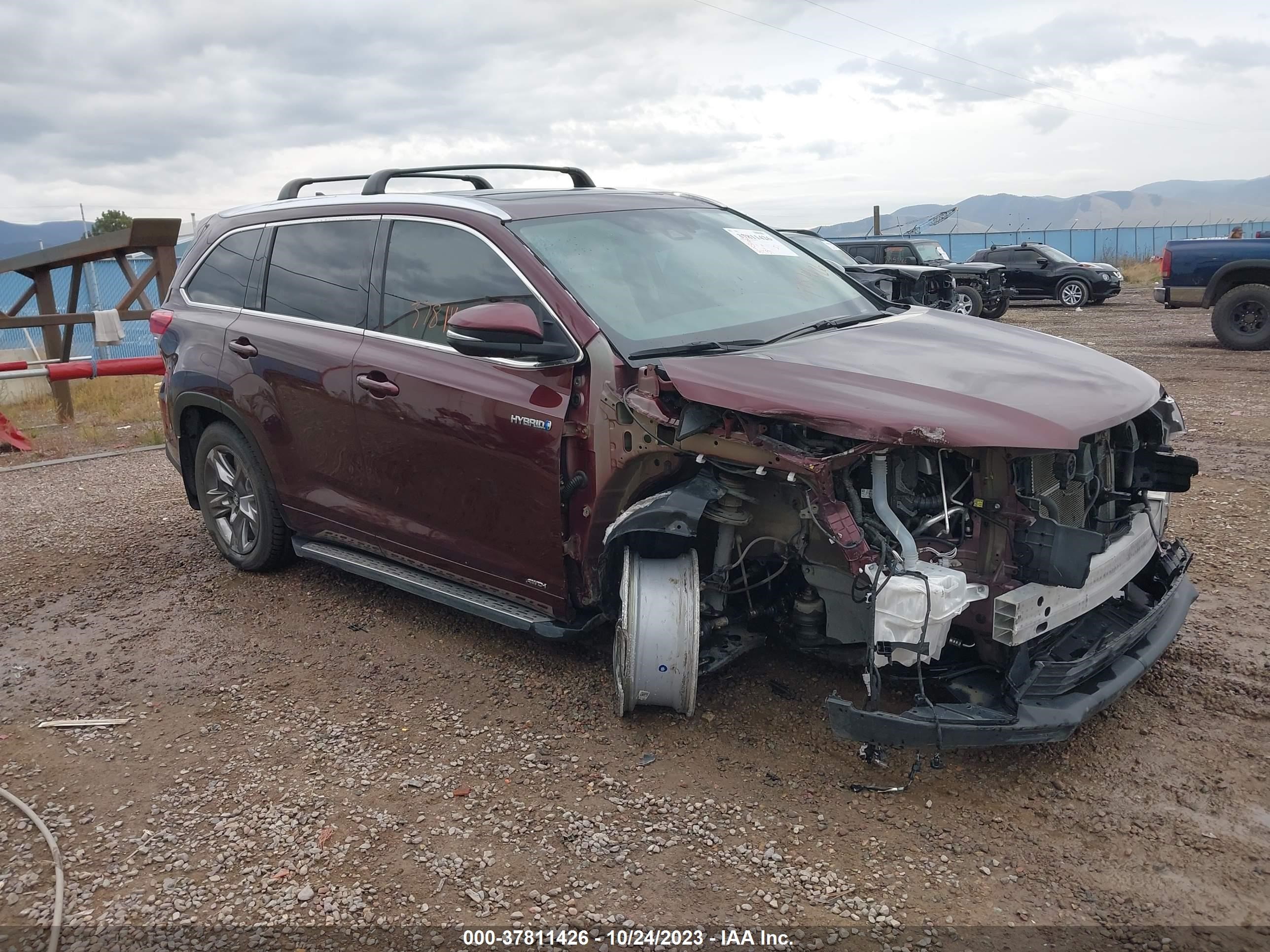 TOYOTA HIGHLANDER 2019 5tddgrfhxks060723