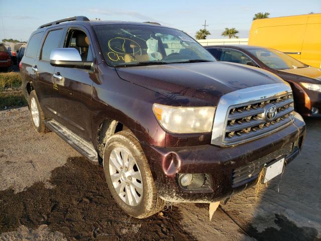 TOYOTA SEQUOIA PL 2013 5tddy5g11ds089019