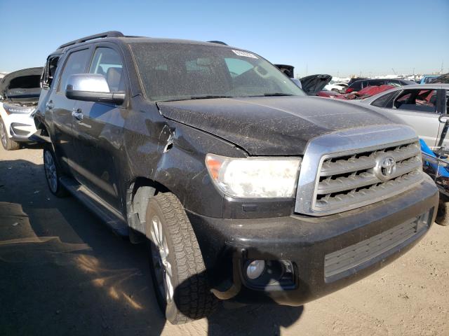 TOYOTA SEQUOIA PL 2011 5tddy5g17bs052702