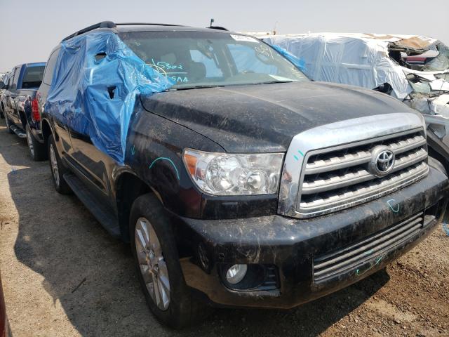 TOYOTA SEQUOIA PL 2011 5tddy5g19bs046660