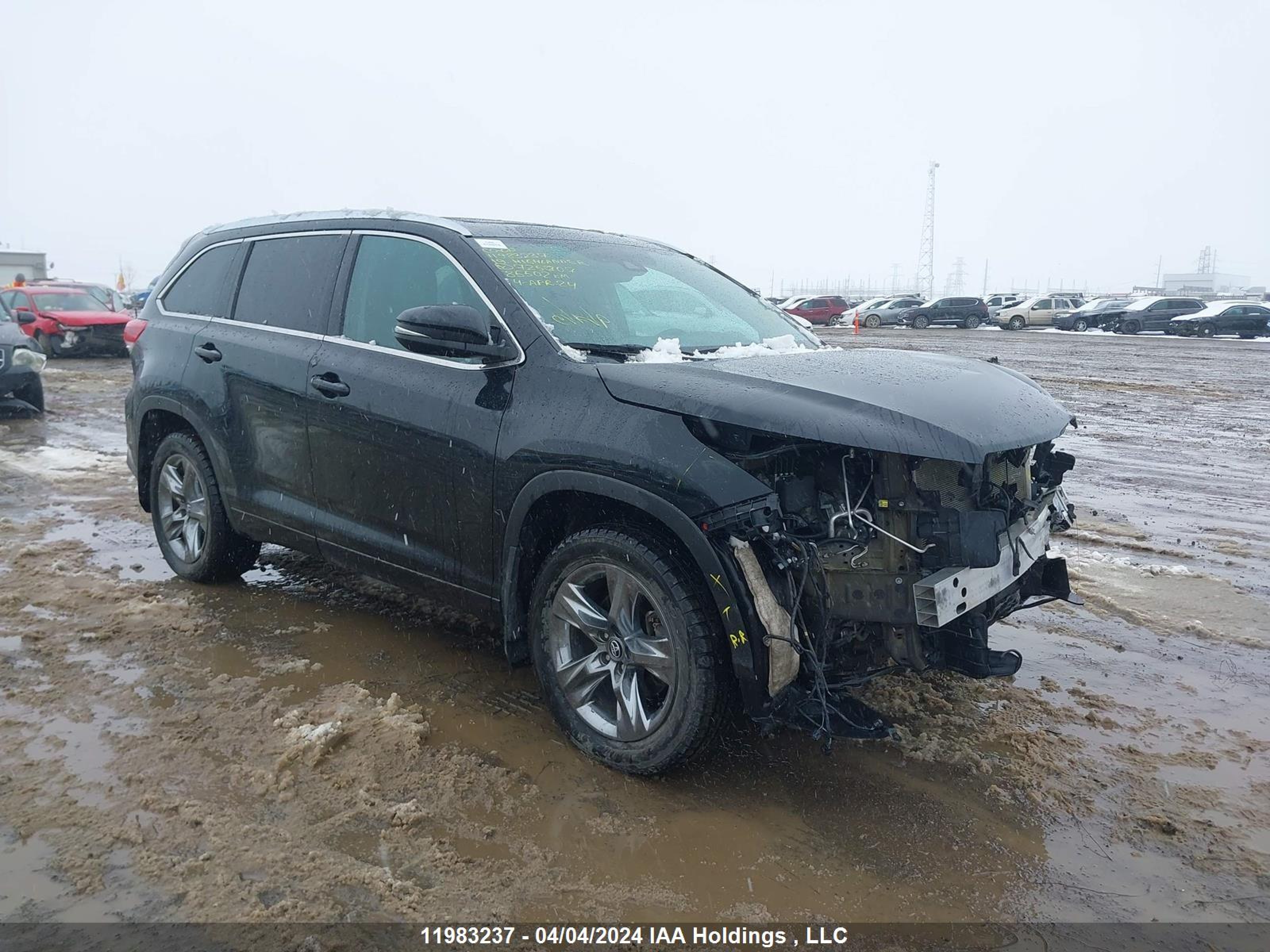 TOYOTA HIGHLANDER 2019 5tddzrfh6ks725207