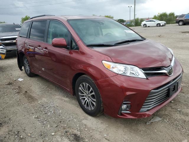 TOYOTA SIENNA XLE 2019 5tdyz3dc8ks019667