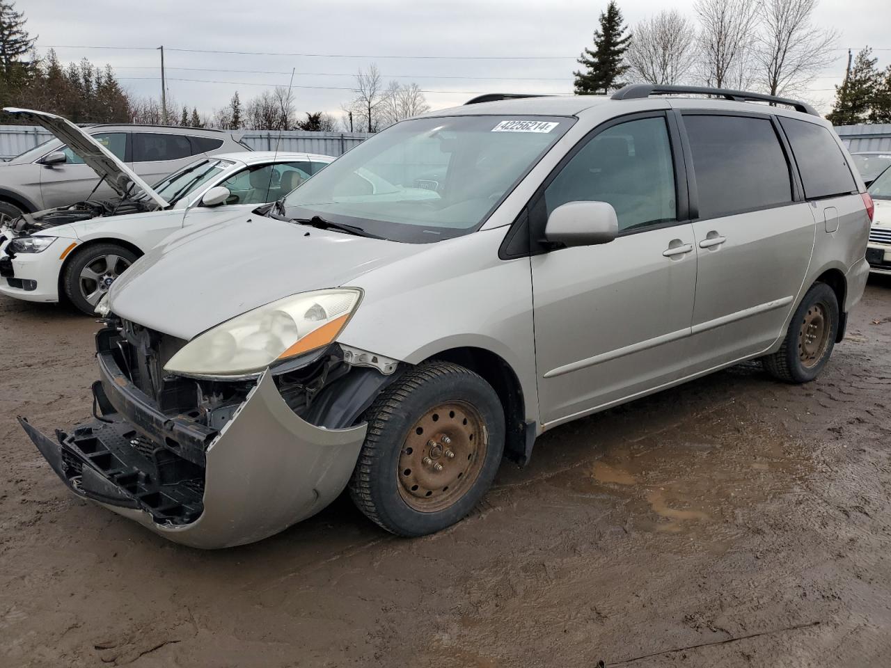 TOYOTA SIENNA 2006 5tdza23c56s411566