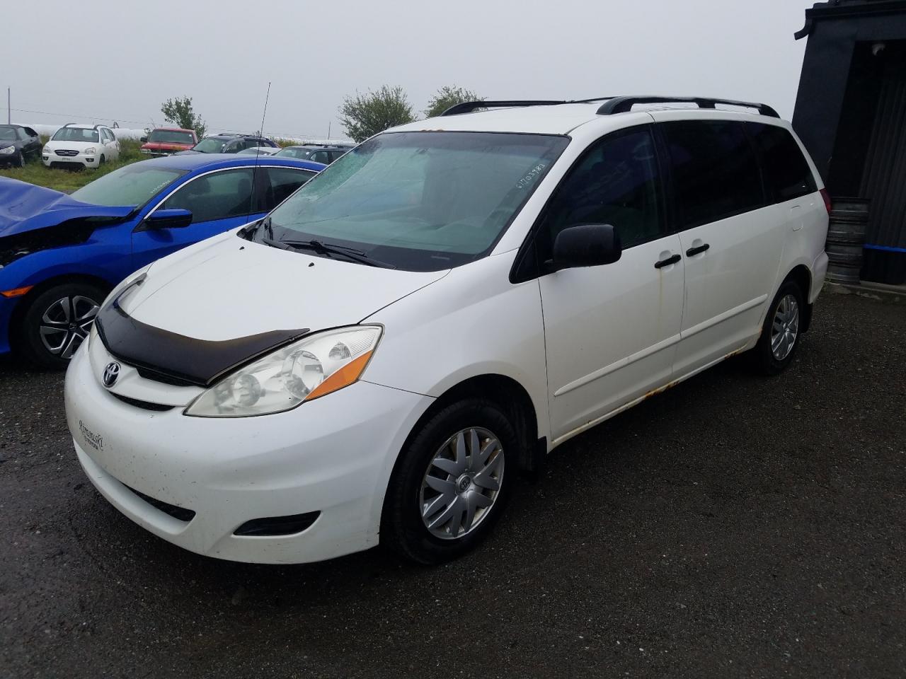 TOYOTA SIENNA 2009 5tdzk29c19s234684