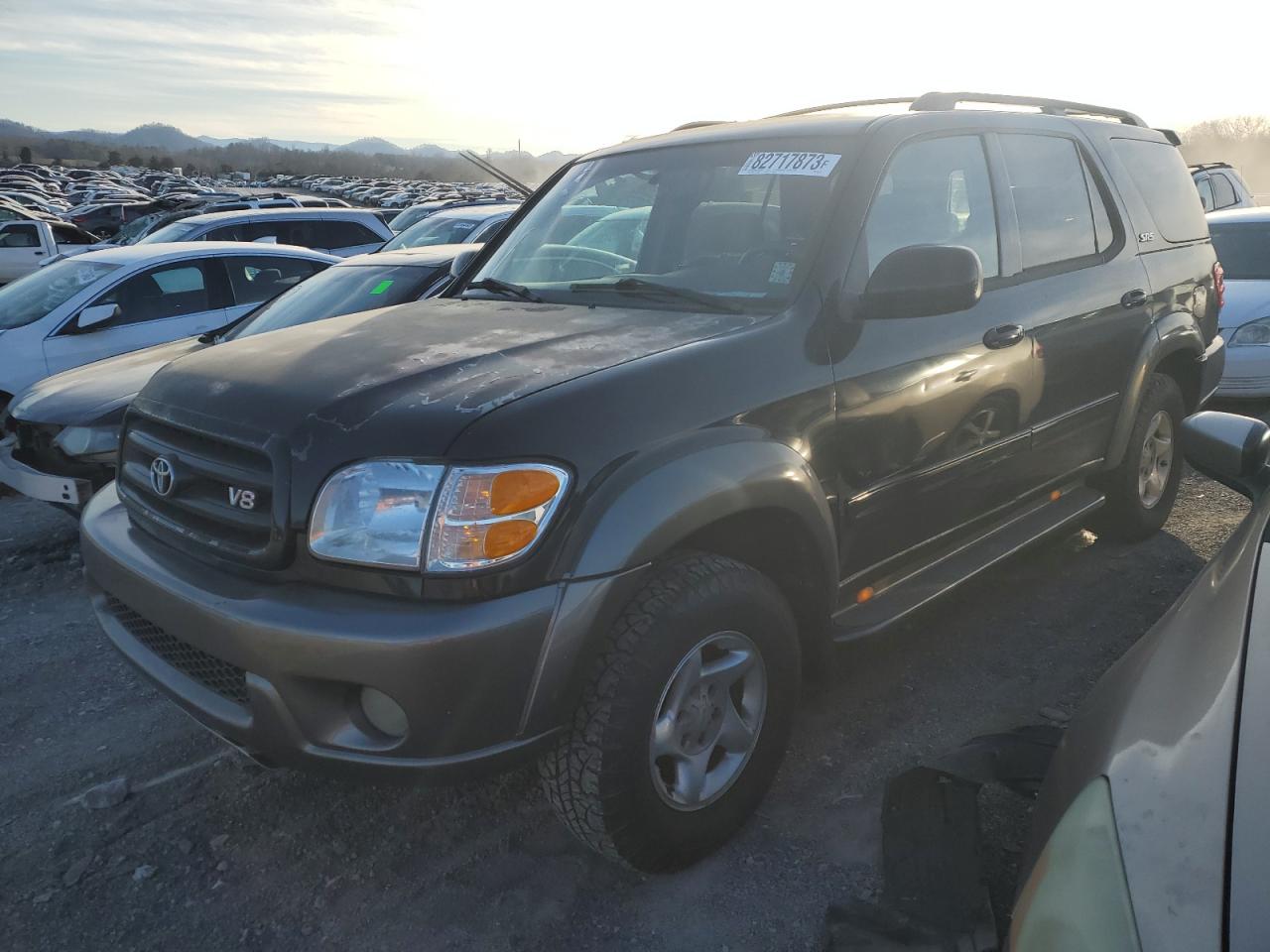 TOYOTA SEQUOIA 2004 5tdzt34a84s206933