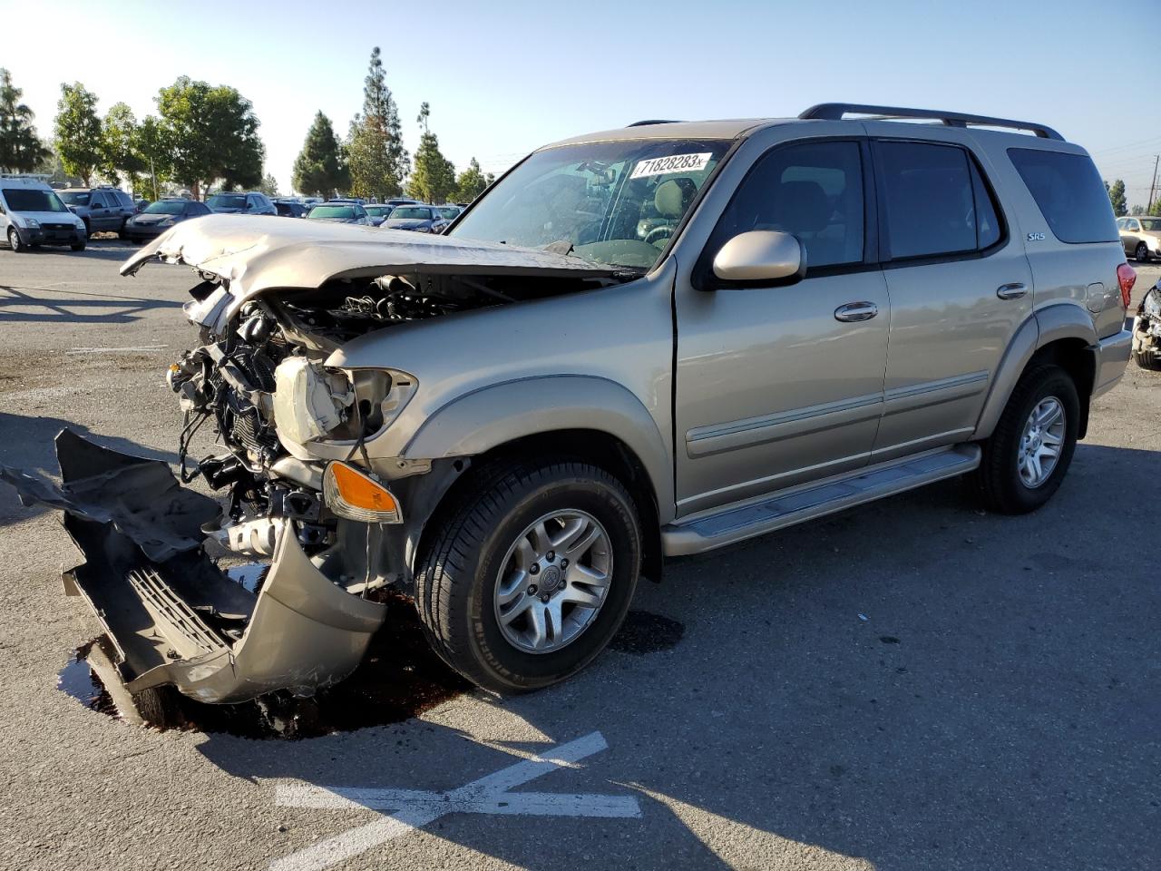 TOYOTA SEQUOIA 2006 5tdzt34a86s277987