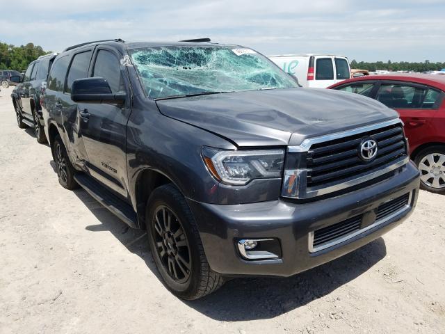 TOYOTA SEQUOIA 2019 5tdzy5g16ks072879