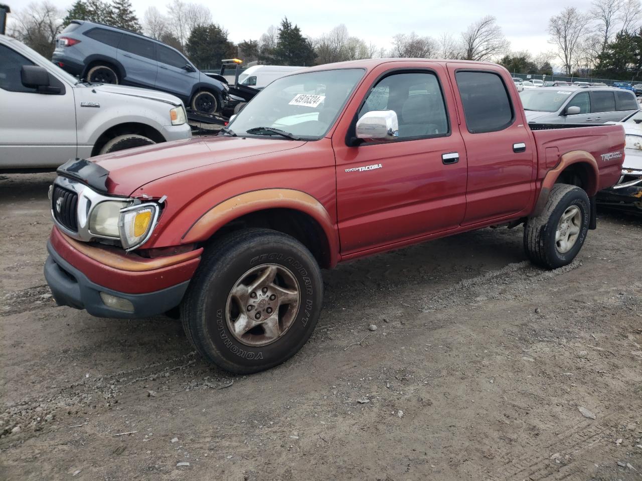 TOYOTA TACOMA 2001 5tegn92n61z847278