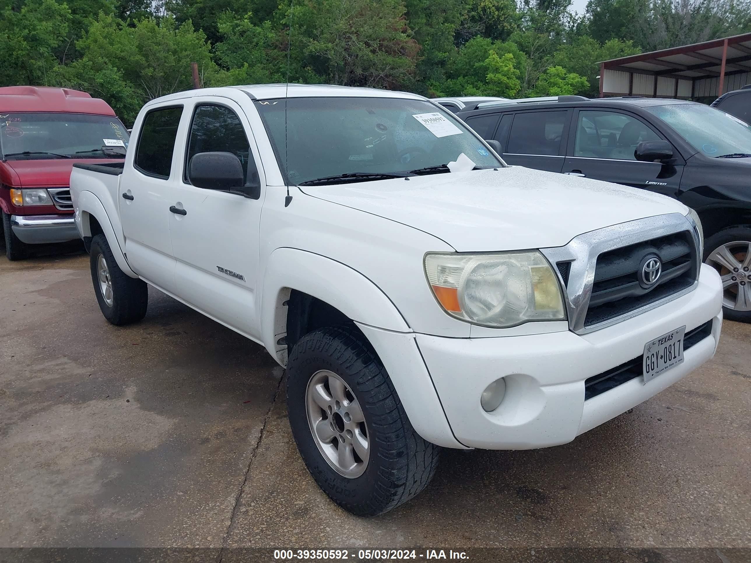 TOYOTA TACOMA 2006 5teju62n06z210062