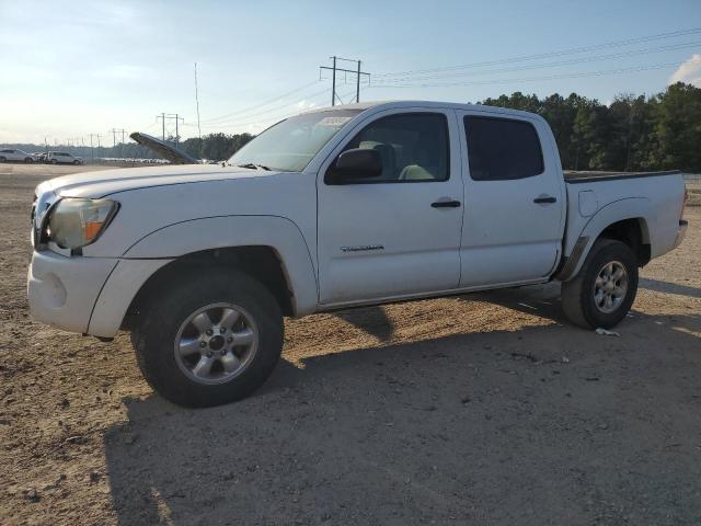 TOYOTA TACOMA DOU 2006 5teju62n36z205339