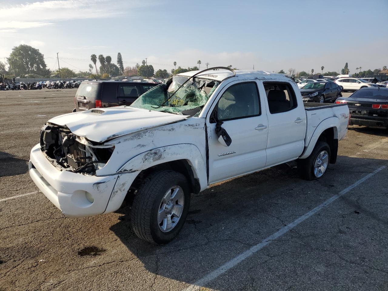 TOYOTA TACOMA 2007 5teju62n37z469789