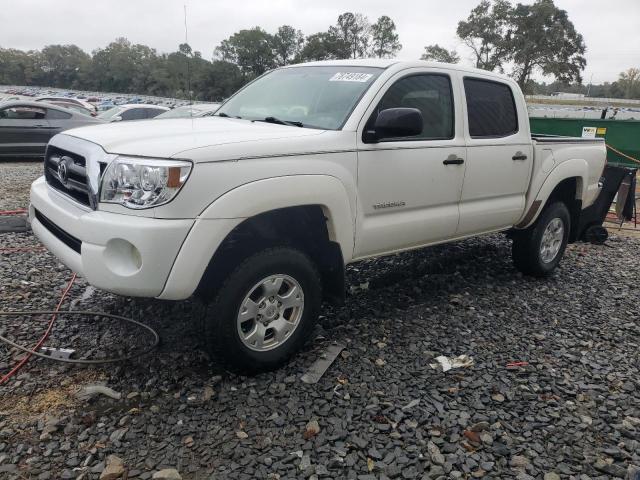 TOYOTA TACOMA DOU 2005 5teju62n55z028047