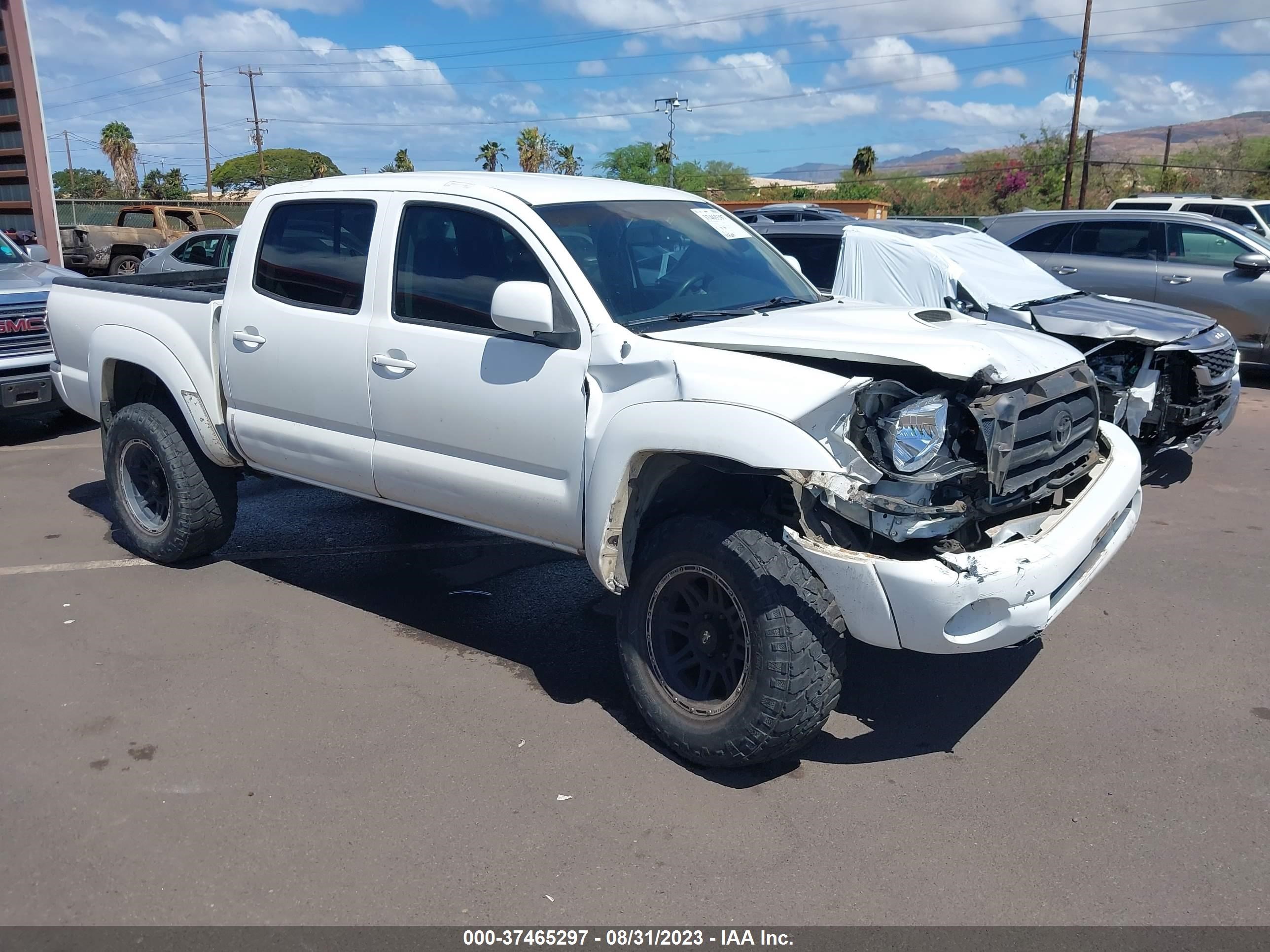 TOYOTA TACOMA 2009 5teju62nx9z619027