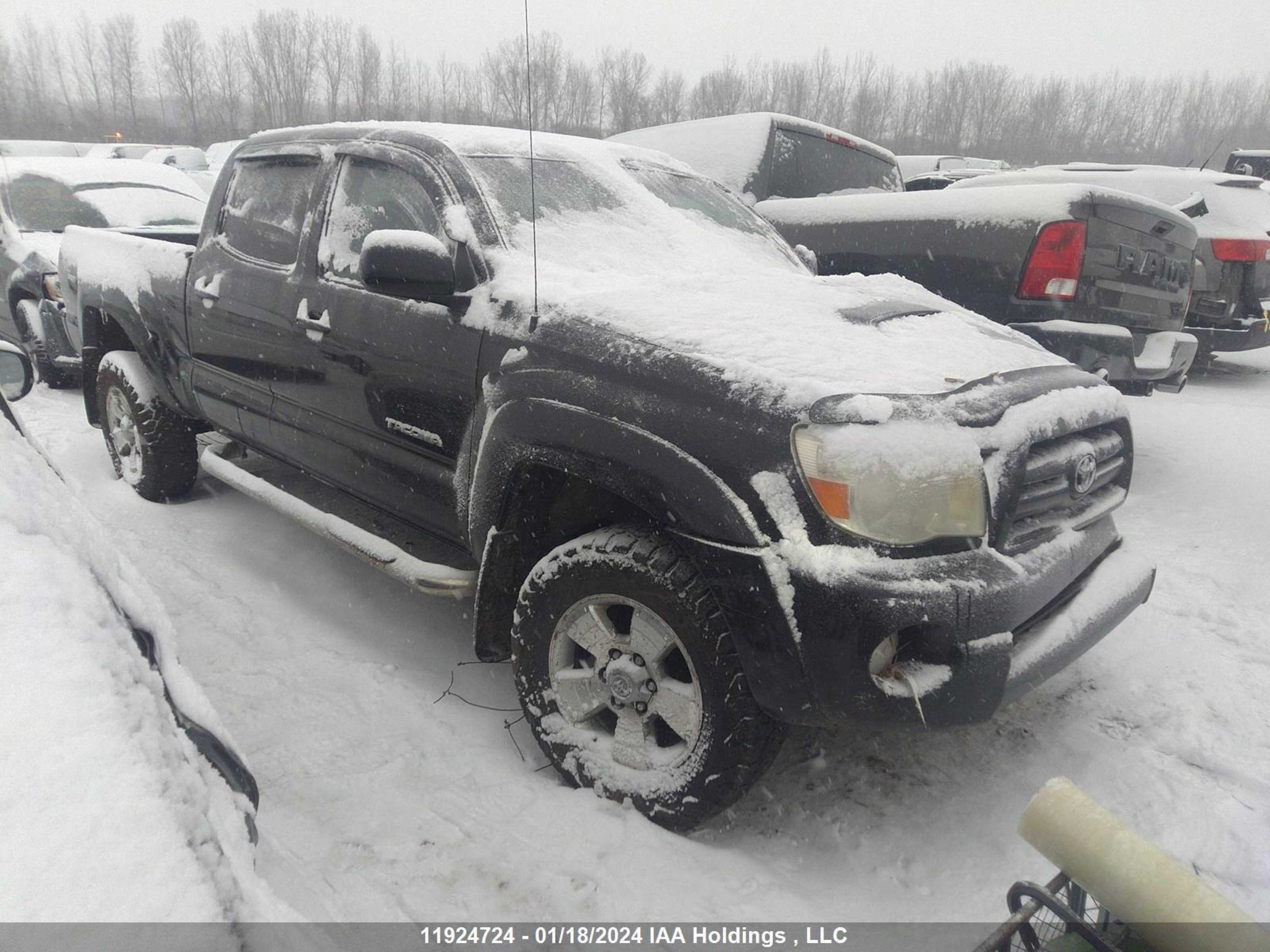 TOYOTA TACOMA 2005 5teku72n25z121148