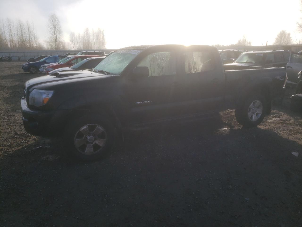 TOYOTA TACOMA 2009 5teku72n39z650999