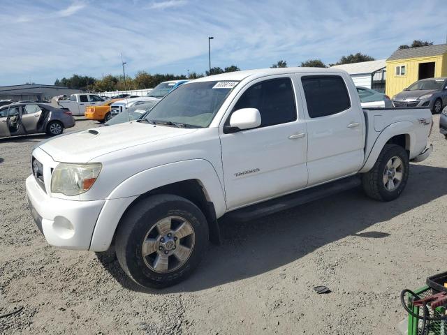 TOYOTA TACOMA DOU 2005 5telu42n05z102908