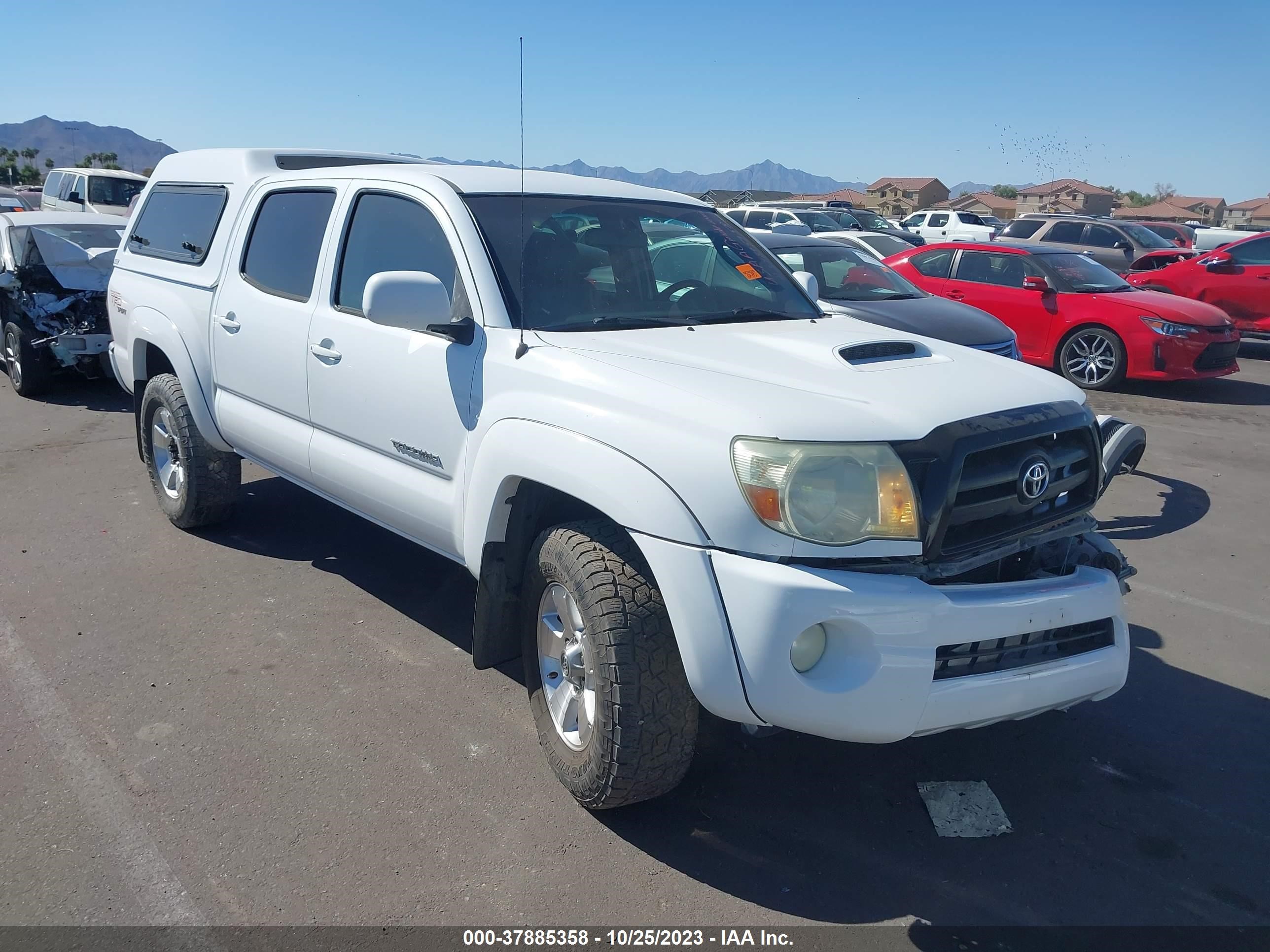 TOYOTA TACOMA 2005 5telu42n15z083835