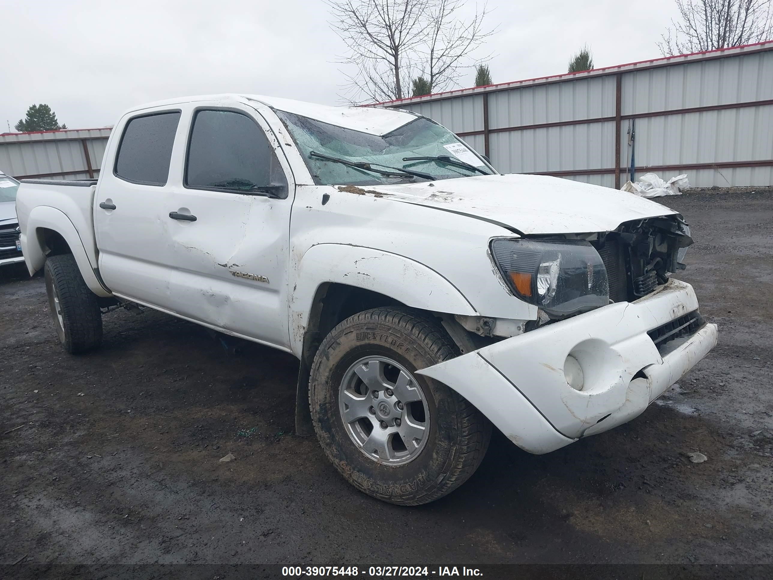 TOYOTA TACOMA 2009 5telu42n19z614439