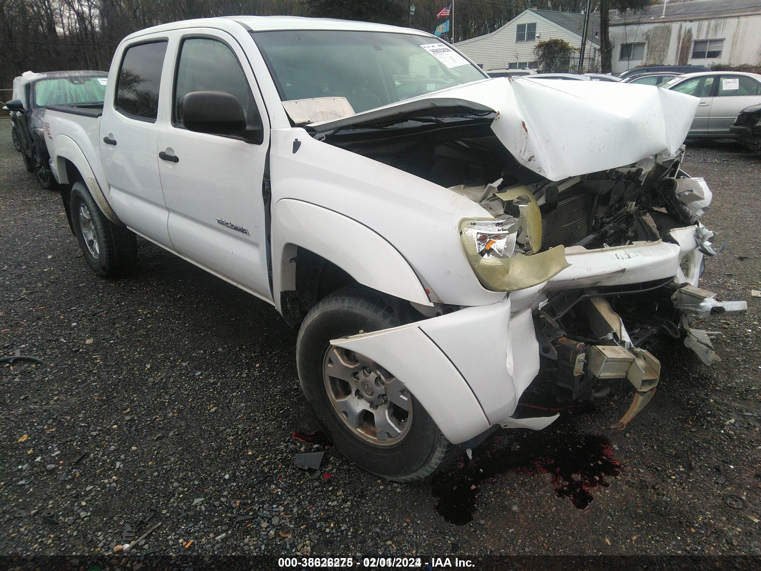 TOYOTA TACOMA 2006 5telu42n36z289529