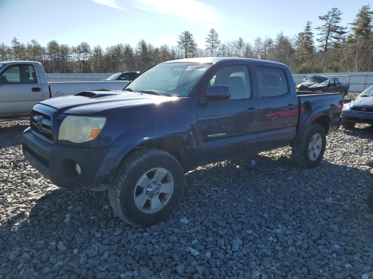 TOYOTA TACOMA 2006 5telu42n36z316261