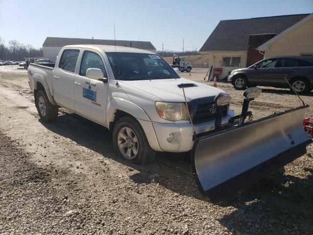 TOYOTA TACOMA DOU 2007 5telu42n37z434473