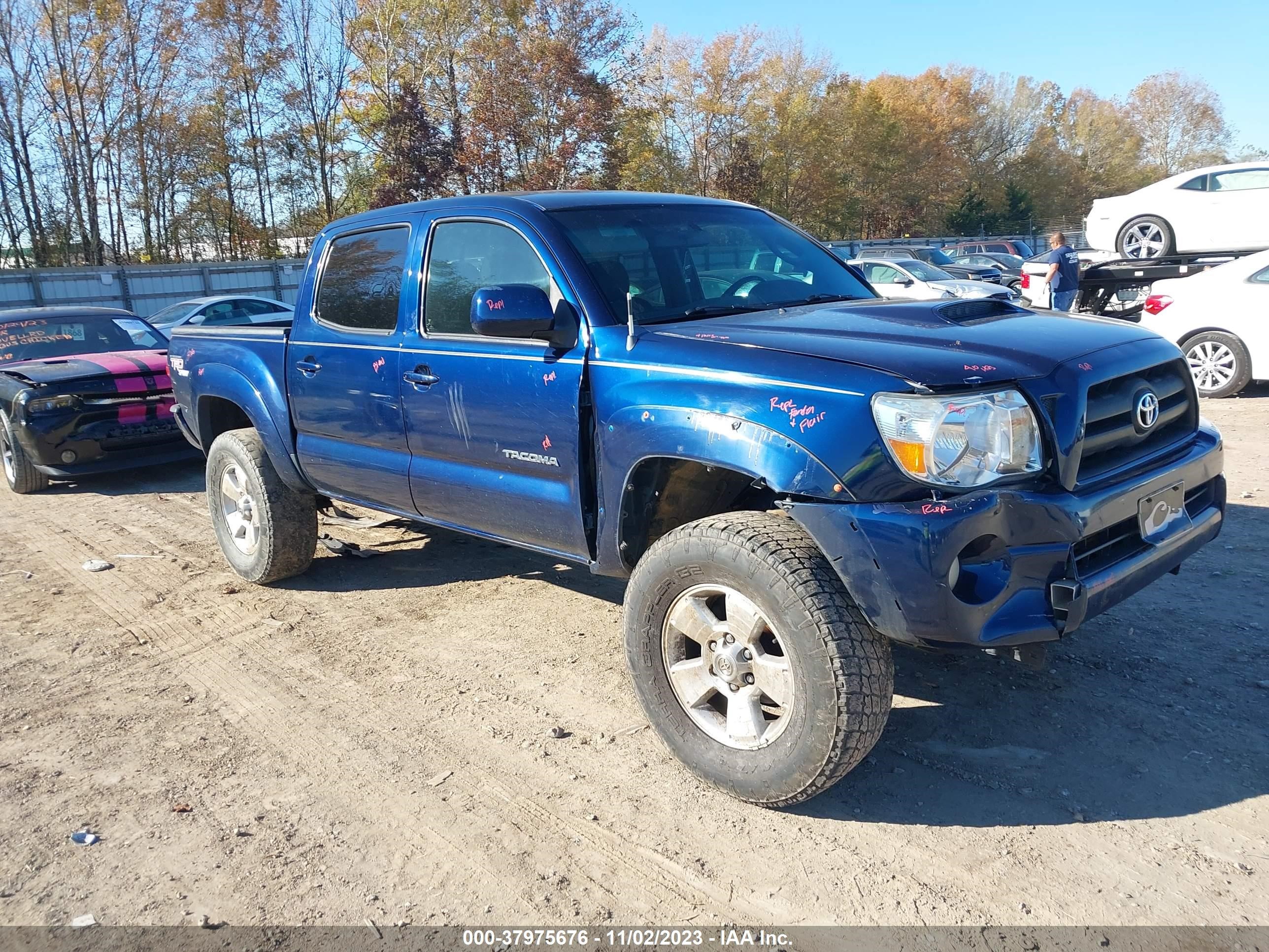 TOYOTA TACOMA 2006 5telu42n46z294884