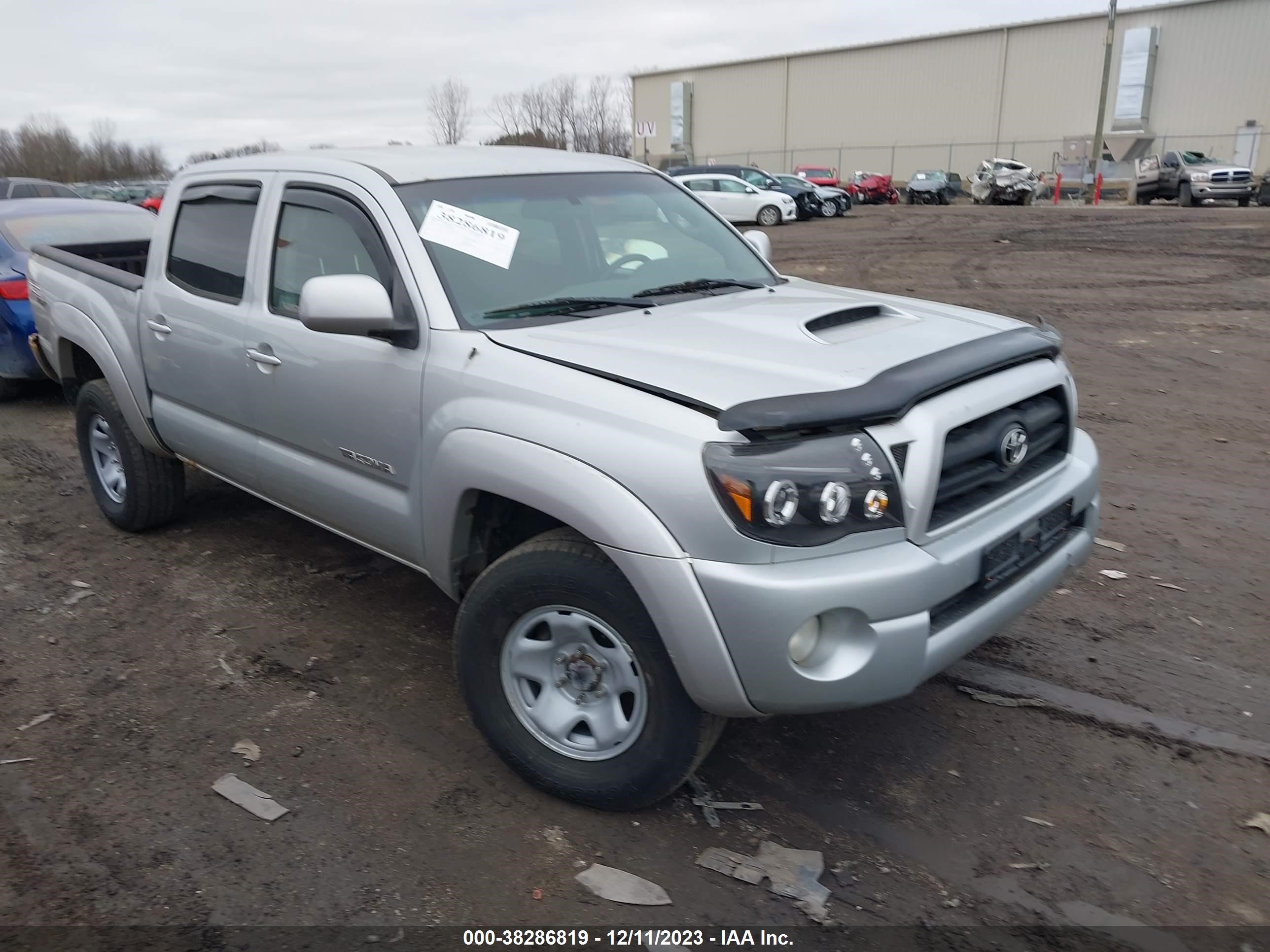 TOYOTA TACOMA 2006 5telu42n56z189206