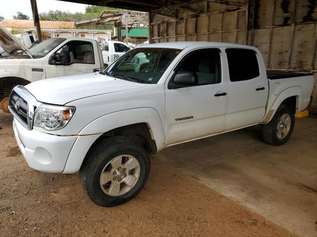 TOYOTA TACOMA DOU 2005 5telu42n65z004093