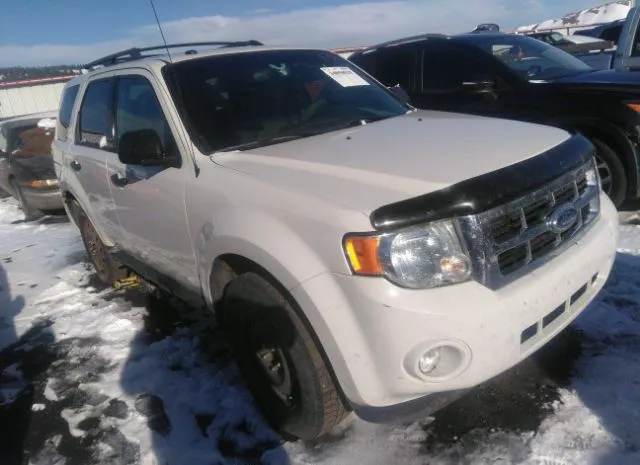 FORD ESCAPE 2012 5telu42n68z568055