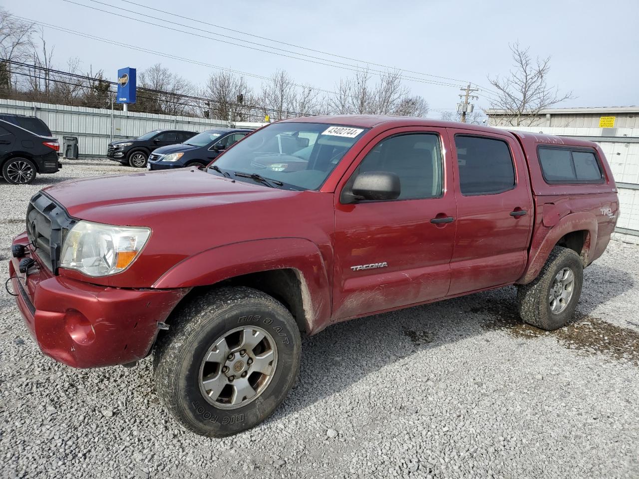 TOYOTA TACOMA 2005 5telu42n95z101708