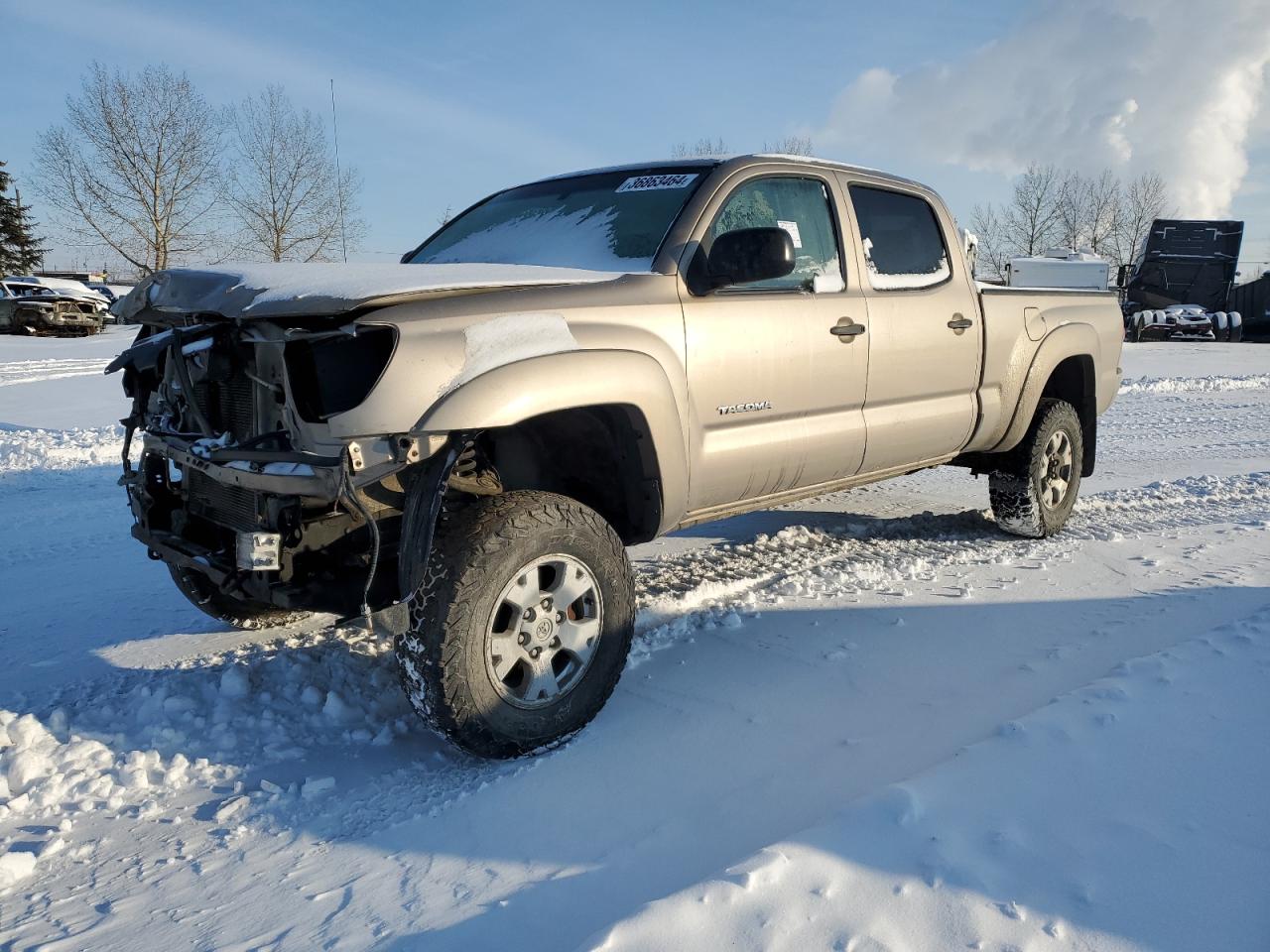 TOYOTA TACOMA 2006 5temu52n26z220003