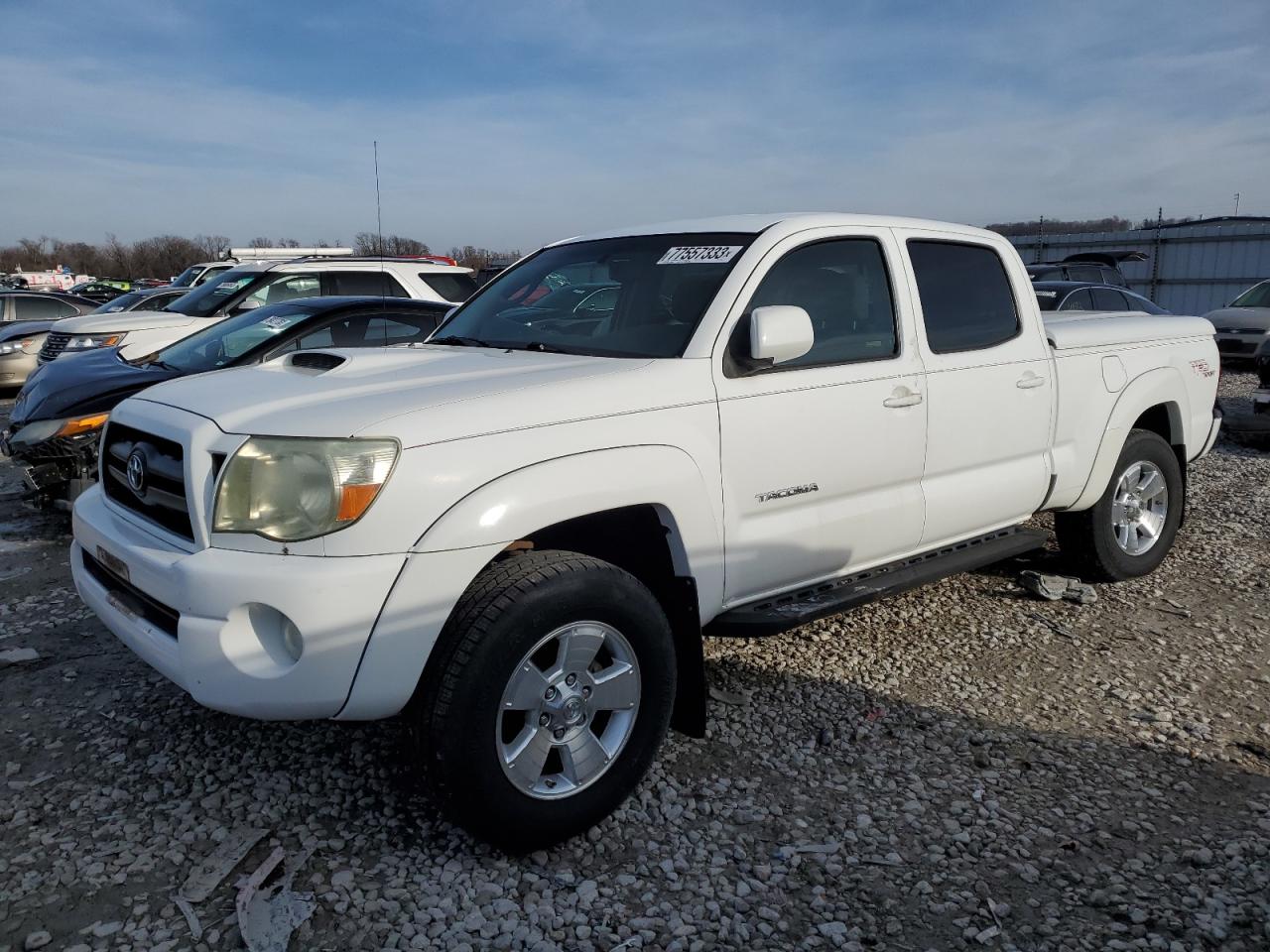 TOYOTA TACOMA 2008 5temu52n28z572856