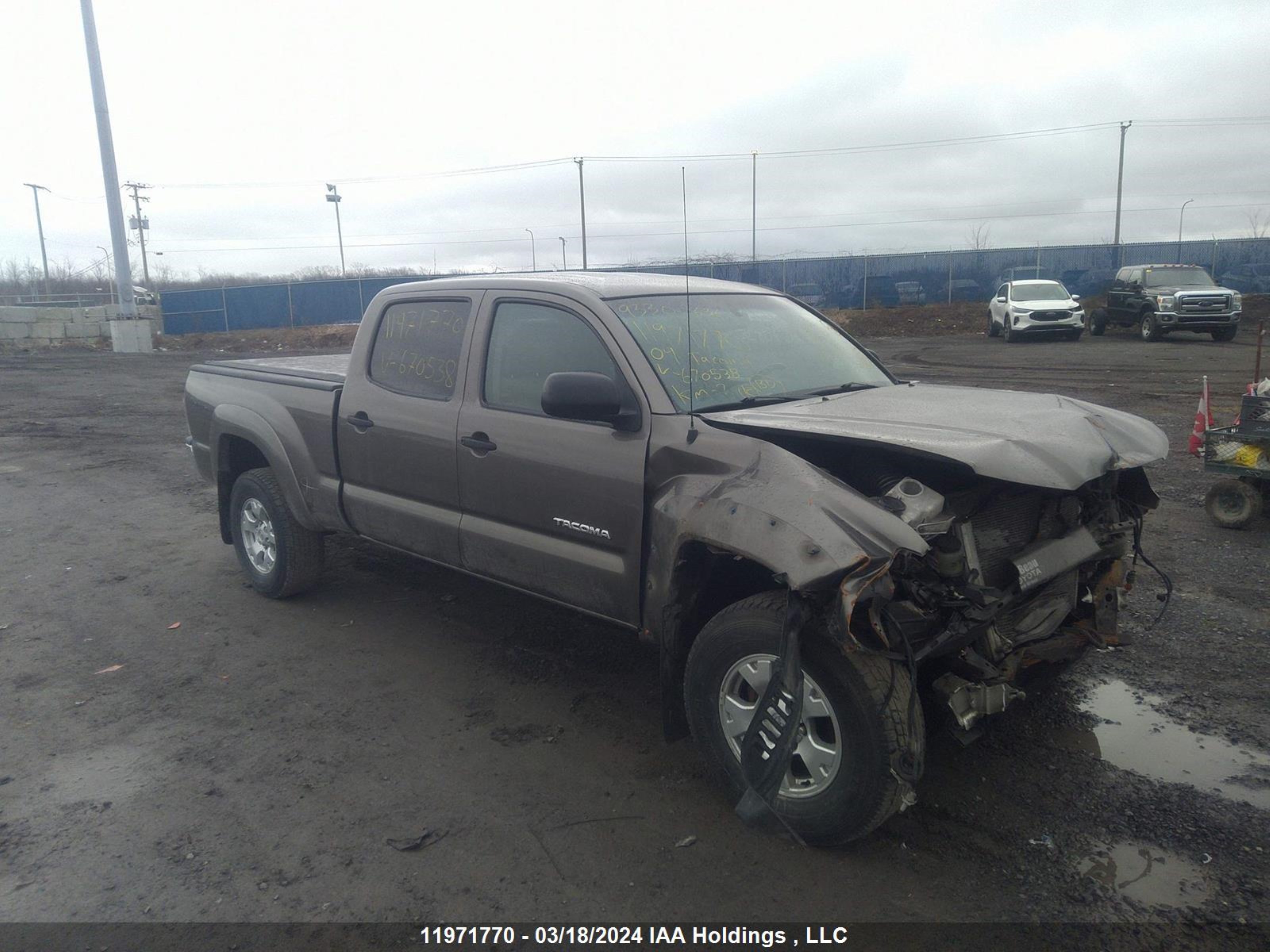 TOYOTA TACOMA 2009 5temu52n59z670538