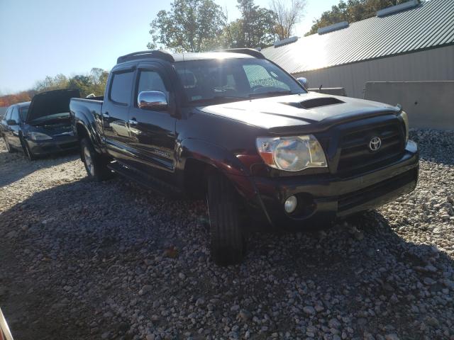 TOYOTA TACOMA DOU 2008 5temu52n68z543876