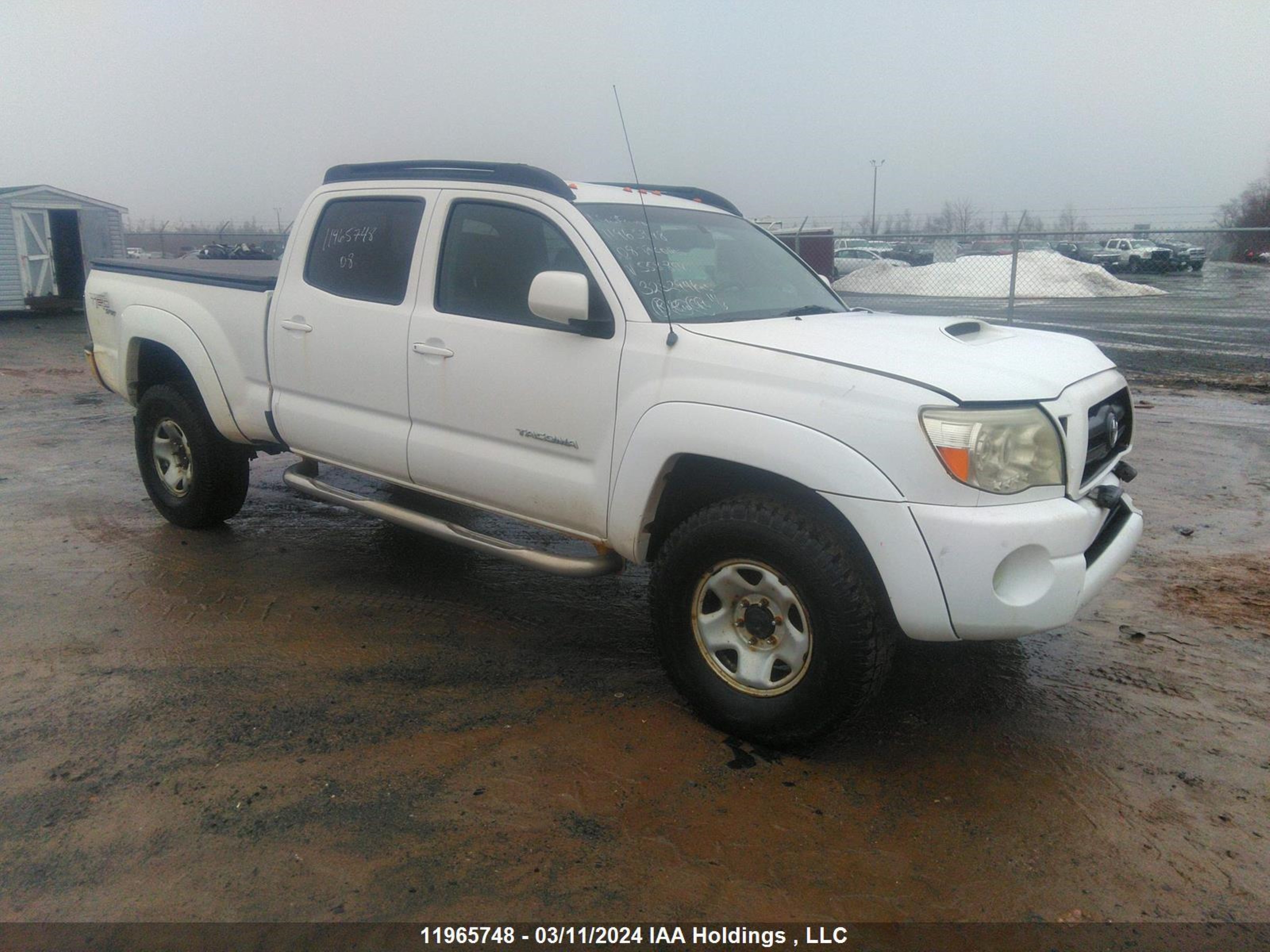 TOYOTA TACOMA 2008 5temu52n68z558894