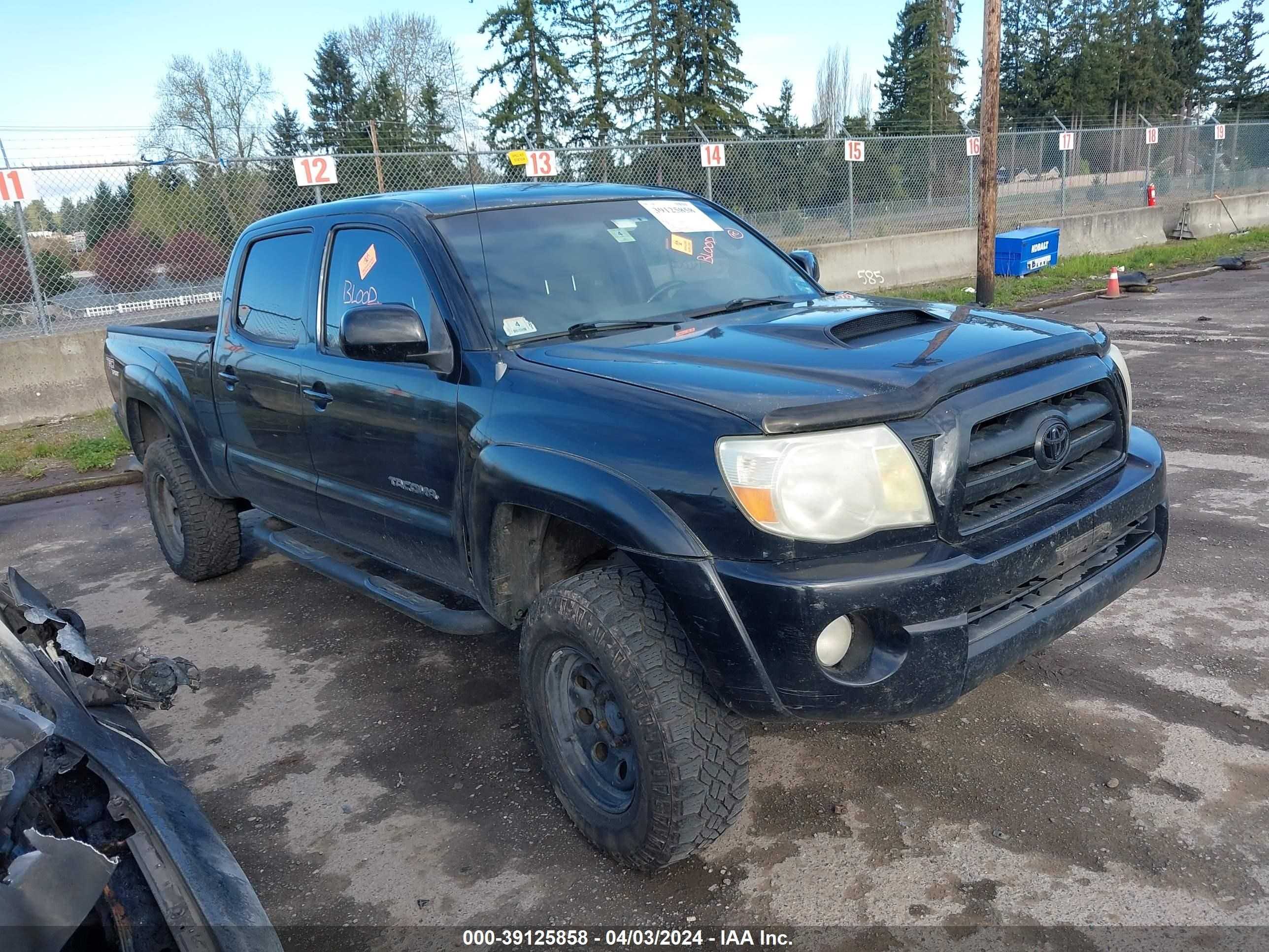 TOYOTA TACOMA 2005 5temu52n85z144396